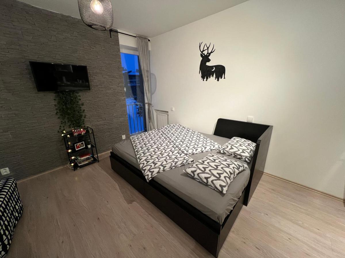 Appartamento Nelis Apartmán Klínovec Loučná pod Klínovcem Esterno foto